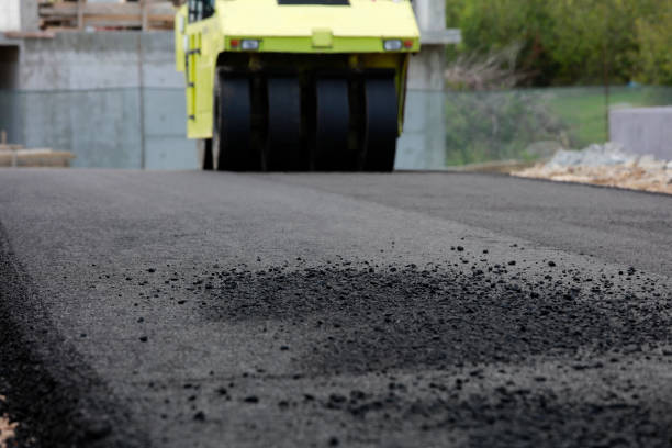 Best Local Driveway Pavers  in Elk River, MN