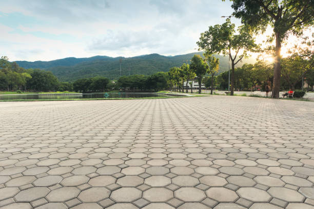 Best Cobblestone Driveway Pavers  in Elk River, MN